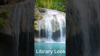 Shorts: Tropical Waterfall @dreamshot
