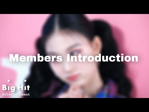 TWXTR - Members Introduction