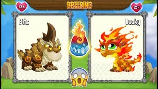 NEW BREEDING: Double Terra Dragon & Double Flame Dragon | DRAGON CITY 😍