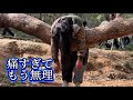 【中国Vlog】蘇州の山登りで大失敗！痛すぎたので新しい登山靴をゲットしました