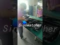 Sinowatcher traffic light assembly 2