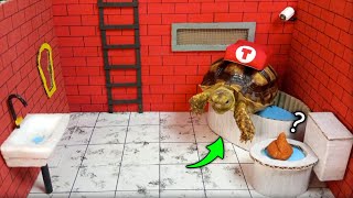 Turtle escaped the awesome maze for pets in real life - Tortoise adventure
