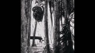 I Have No Enemies.. Musashi Miyamoto Vagabond Manga Animation - Edit..