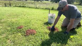 Details Frustrated Homeowner Calls for Help — We Finally Got the Gopher! News