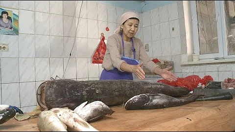 Рыба по цене мяса: стоимость местных сомов и сазанов растёт в Кызылорде
