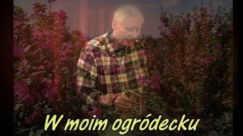Polish Folk Song: W moim ogródecku (In My Garden)