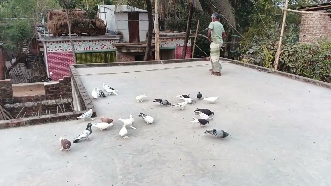 Cacar bari onek puron jat, Rajshahi giribaj baji, dekhe onek valo lagbe apnader 