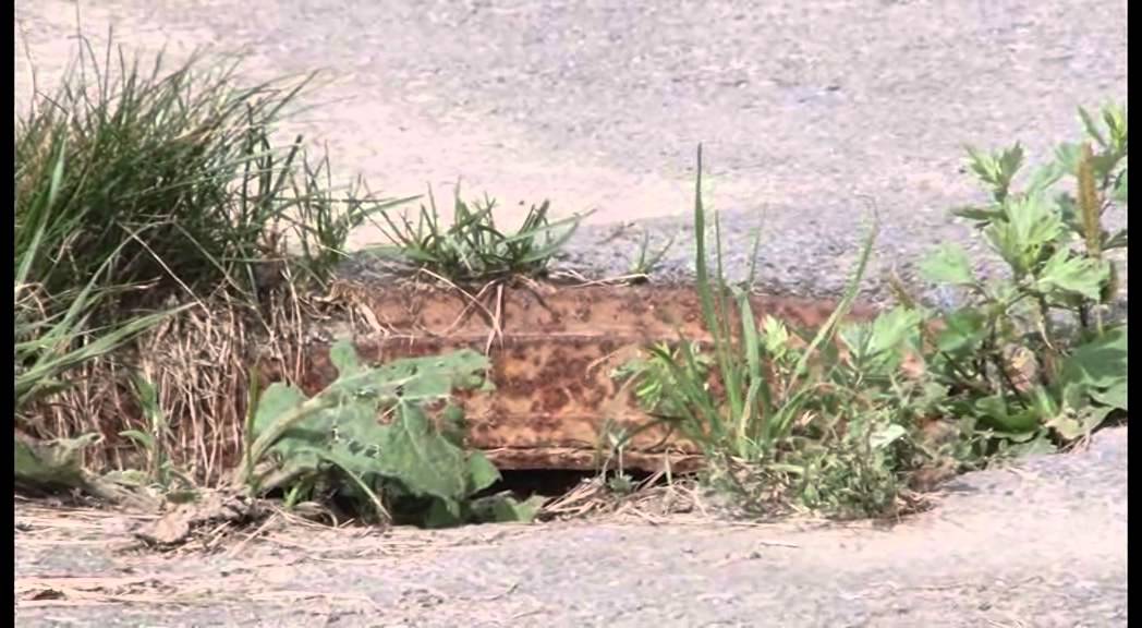 813 выпуск Новости ТНТ Березники 13 август 2015