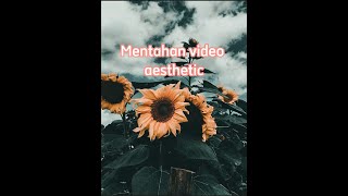 Mentahan video background aesthetic no copyrigth.