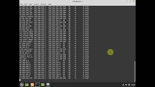 20210108 - ZaboronaHelp - Linux Mint 20