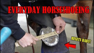 Everyday Horseshoeing! Shoeing an Eventing Horse with Toe Clips