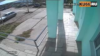 Неизвестные расстреляли собаку (18+) Неизвестные расстреляли собаку (18+)