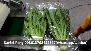 How to packing the lettuce into pouch? Fresh vegetable packing machine