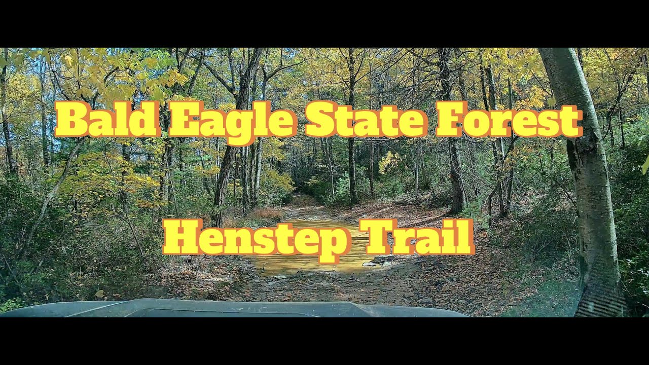 Bald Eagle State Forest | Henstep Trail Full Length | 4x Speed