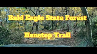 Bald Eagle State Forest | Henstep Trail Full Length | 4x Speed