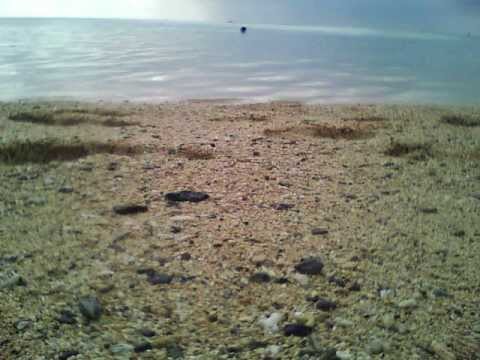 海：レコロで撮影