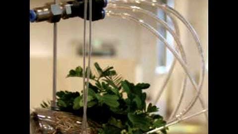 Biological Instrumentation