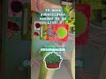 Like and Subscribe #livestream #likeandsubscribeandshare #freetarotreadings
