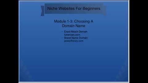 Niche Websites For Beginners Module 1-3: Choosing A Domain Name