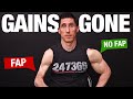 Masturbation is KILLING Your Gains!