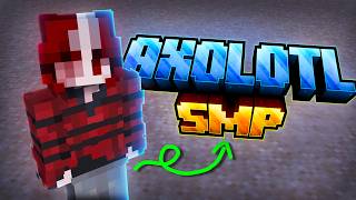 We Created Minecraft's Next BIG SMP! [Applications Open]
