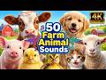 50 Farm Animal Names And Sounds for Kids 🐮🐷🐔 | Learn Animal Names &amp; Sounds | 4K | Blue Bear Kids