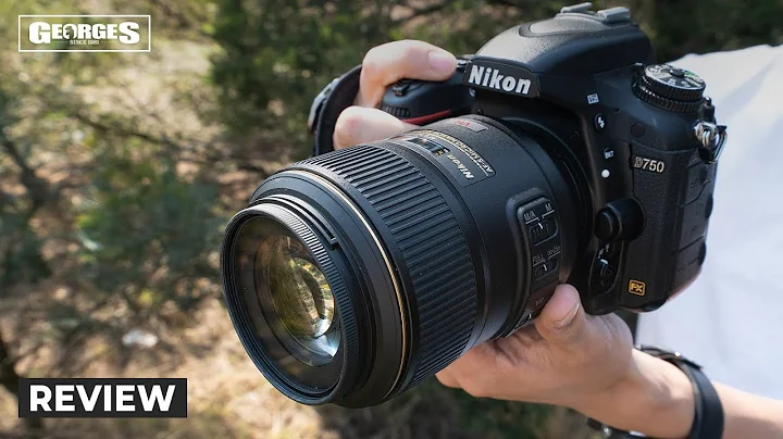 A Must Have Nikon Macro Lens | Nikon 105mm Micro F2.8 Review by Georges Cameras - DayDayNews