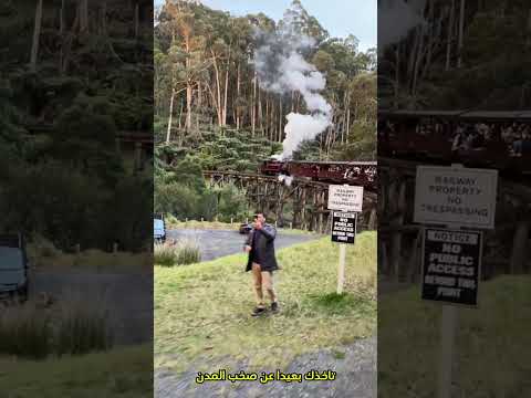 رحلة على متن القطار السياحي وسط الطبيعة الساحرة