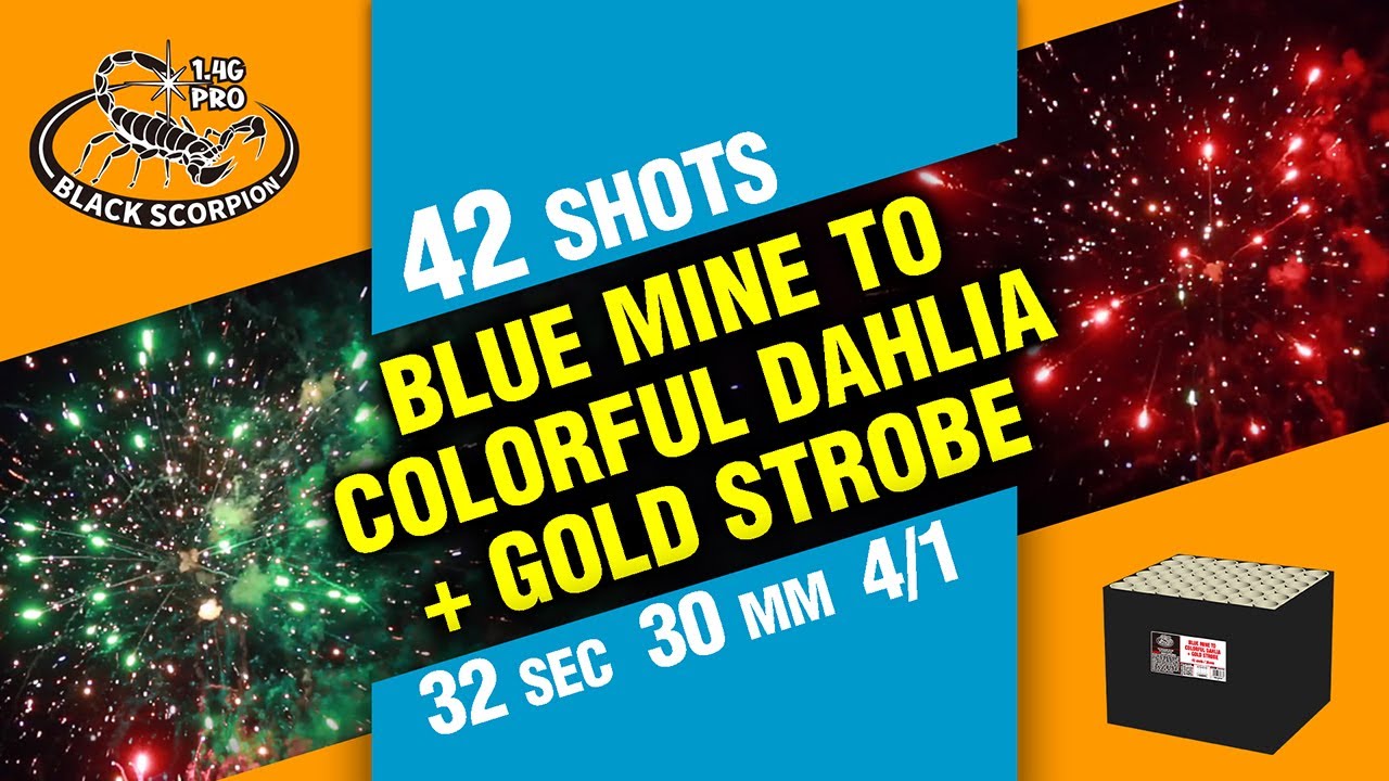 CLA14009 BLUE MINE TO COLORFUL DAHLIA + GOLD STROBE 42 SHOTS