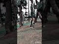 l̊i̊k̊e̊ c̊o̊m̊m̊e̊n̊t̊ s̊h̊e̊r̊e̊