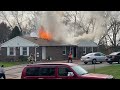 Crocus Fire
