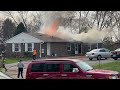 Crocus Fire