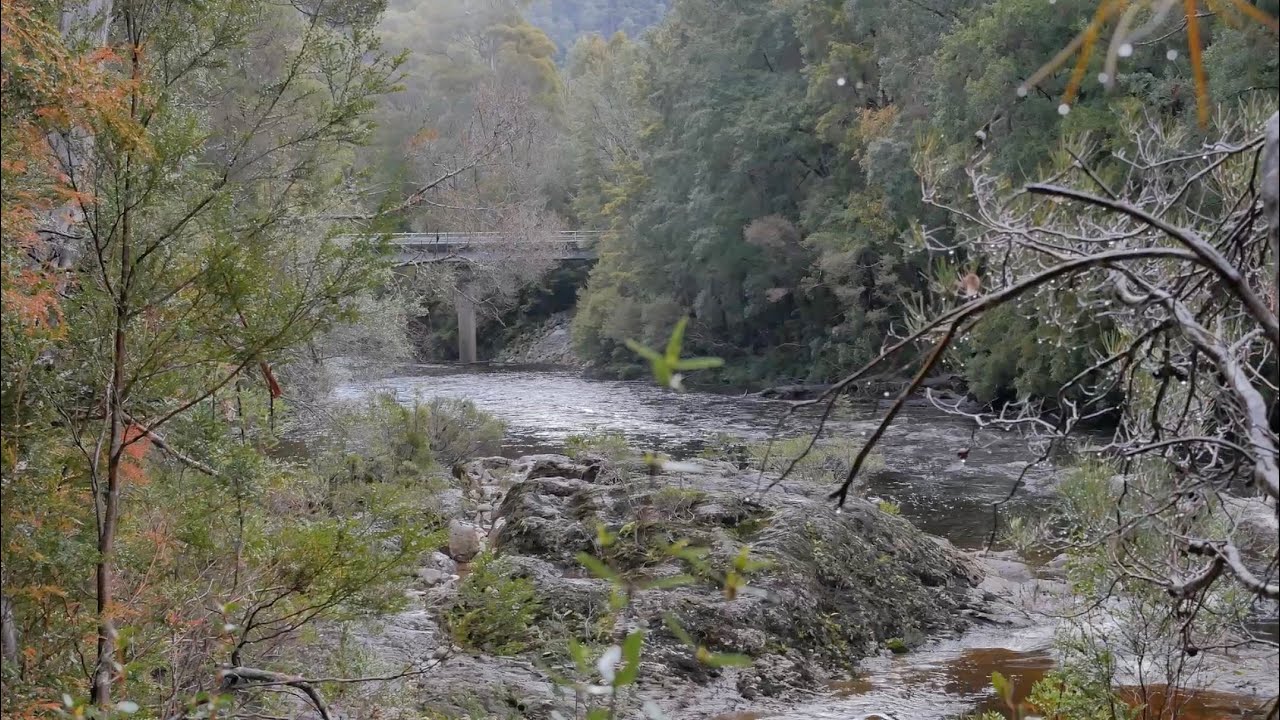 Guarda Bridges Renewal su YouTube Guarda Bridges Renewal su YouTube