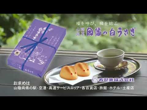 【山陰ローカルCM】因幡の白うさぎ ガイナーレ鳥取ver