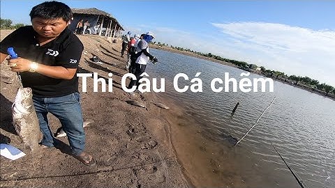 Giải Câu Lure Cá Chẽm Với Gần 100 Cần Thủ Tại Vũng Tàu Fishing seabass | Cha Già Vlogs