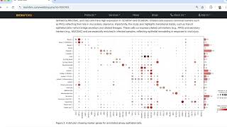 Rebuilding the Airway Cell Atlas Using Cellxgene VIP in BxGenomics