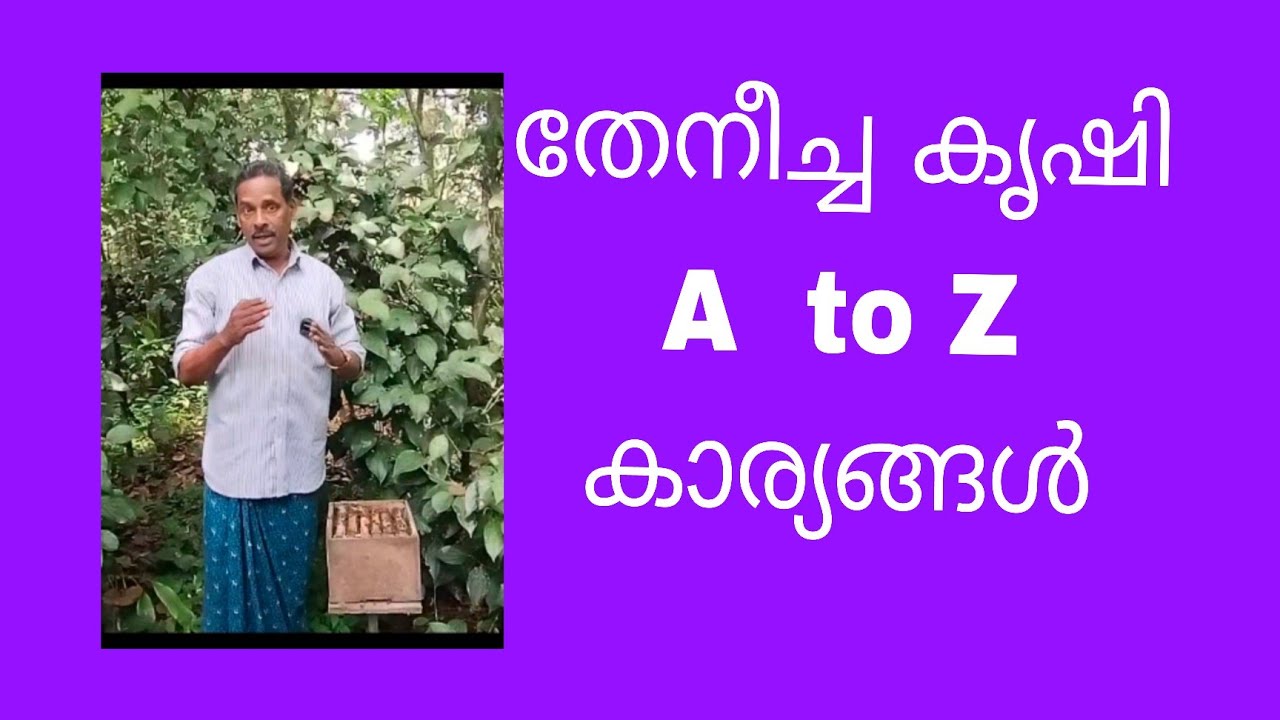 തേനീച്ച കൃഷി ചെയ്യുന്നത് A  to  Z കാര്യങ്ങൾ