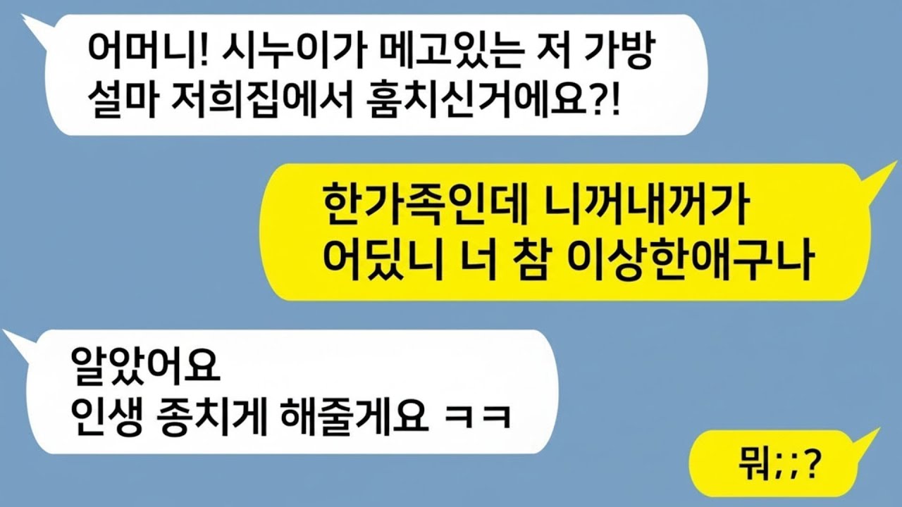 💞💔톡톡드라마 허구헌날 집에 드나들며 옷장 뒤지더니 가방 훔쳐 시누이에게 준 시모!! 한가족인데 뭐어떠냐는 시모와 시누를 참교육합니다 톡썰,톡툰,사이다사연