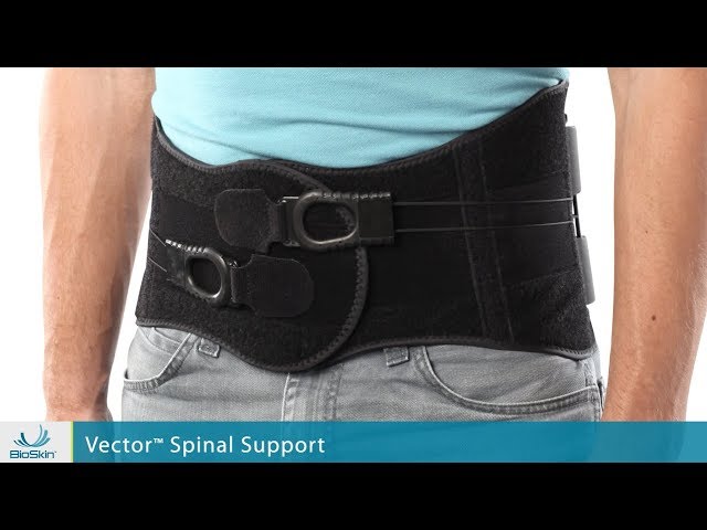 Vector Lumbar Support  BioSkin Innovative Bracing Solutions