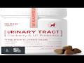 Cranberry for Dogs Urinary Tract Support for UTI Health Bladder Stones Incontinence