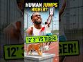 Can a Human Out-Jump a Tiger? 🐅✨|Part 2|#mrbeast #ytshorts #trending #challenge #shorts
