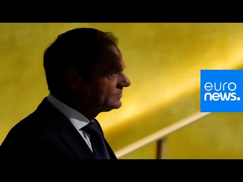 Tusk 'unconvinced' by Brexit plan: How Europe reacted to UK proposals