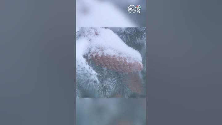 Tree almost hit's a 85-year-old Utah man