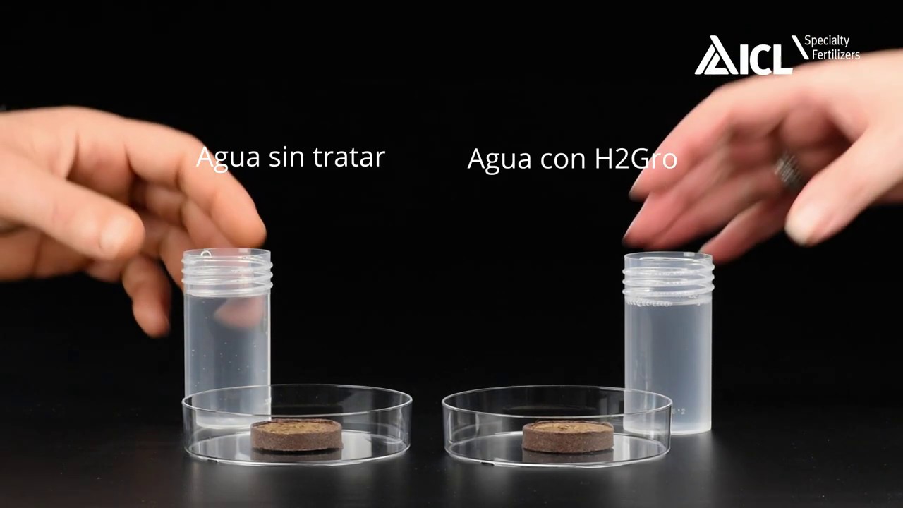 Efecto aplicación H2Gro