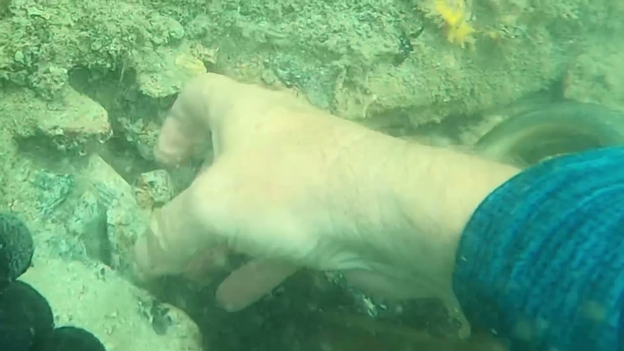 The Wonders of the Ocean: Our Small Backpack Dredge Adventure in the Philippines