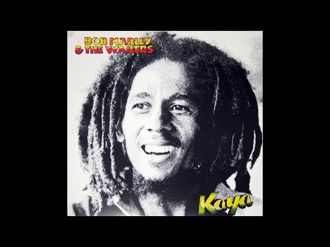 激レア盤 BABY CHAM&FOXY BROWN BOB MARLEY 激レア盤 BABY