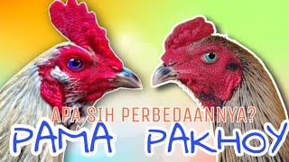 THIS IS THE DIFFERENCE BETWEEN AYM PAKHOY AND AYM PAMA