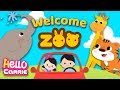 Daddy&#39;s Taking Us To The Zoo Tomorrow｜English Songs