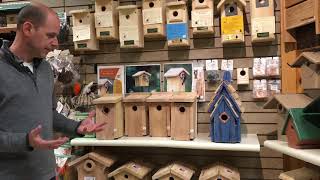 Bluebird houses: tips for success