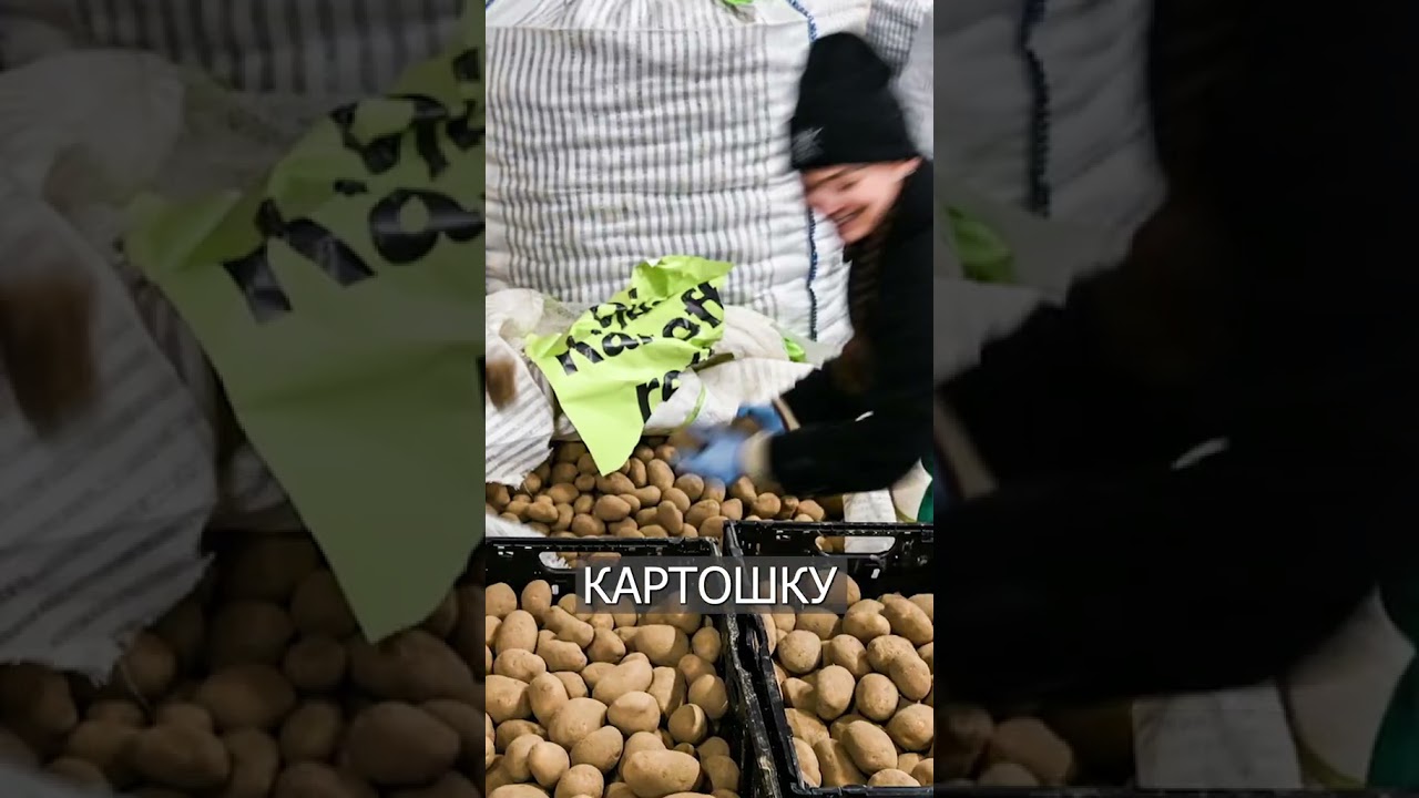 роздают бесплатно картошку! 